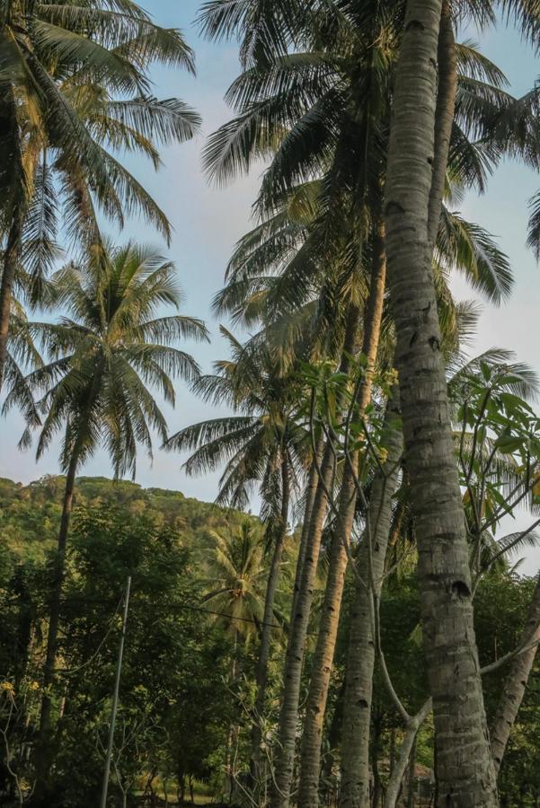 Lendang Eco Lodge 圣吉吉 外观 照片