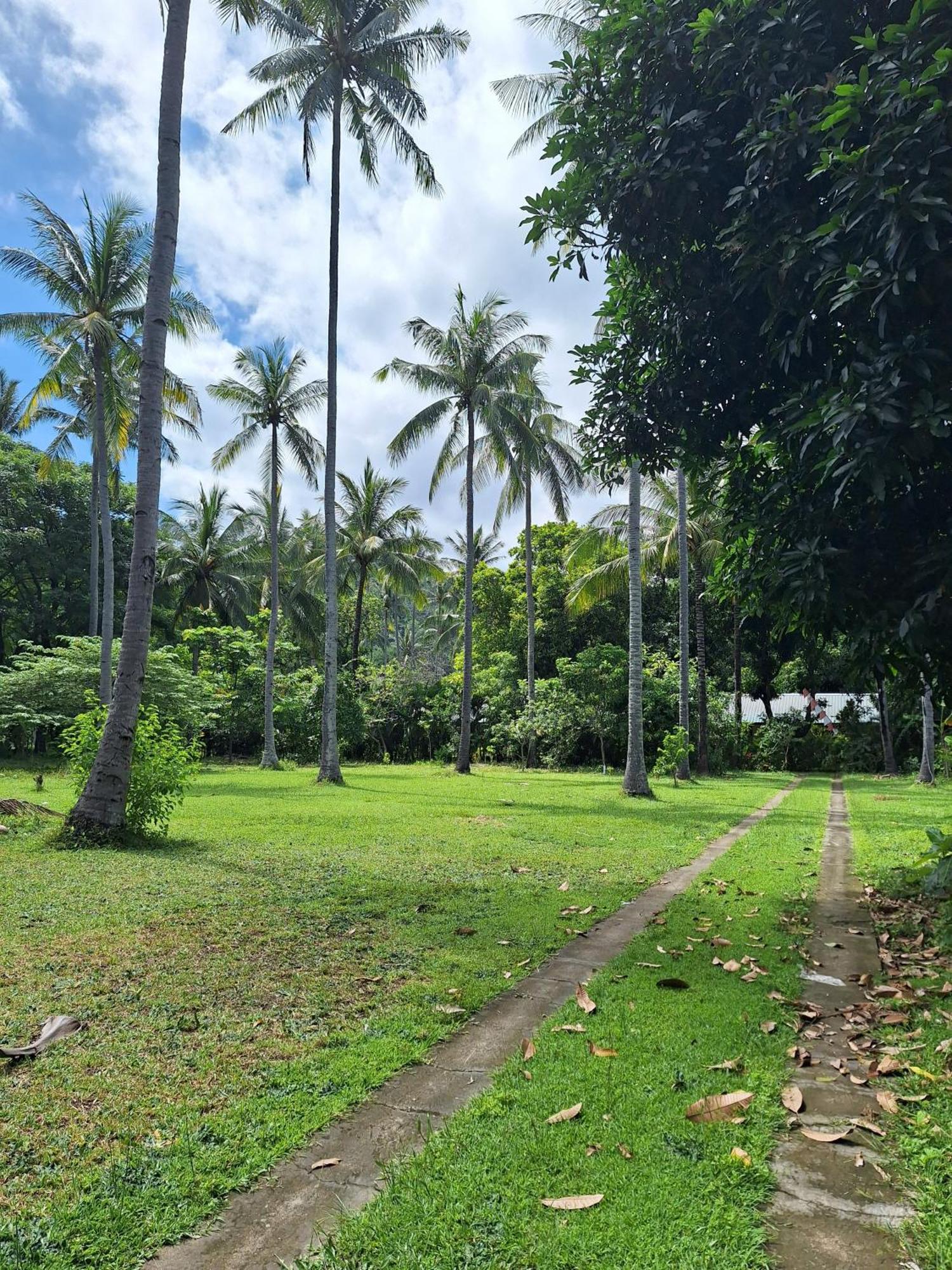 Lendang Eco Lodge 圣吉吉 外观 照片