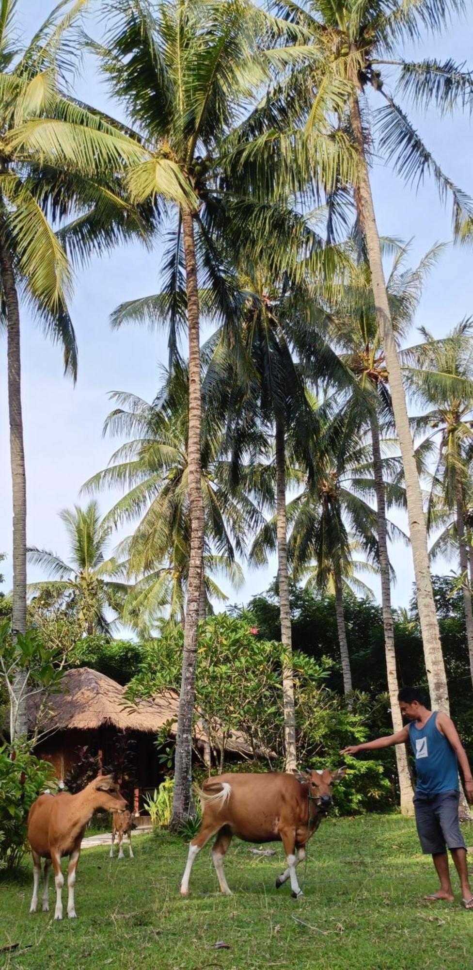 Lendang Eco Lodge 圣吉吉 外观 照片