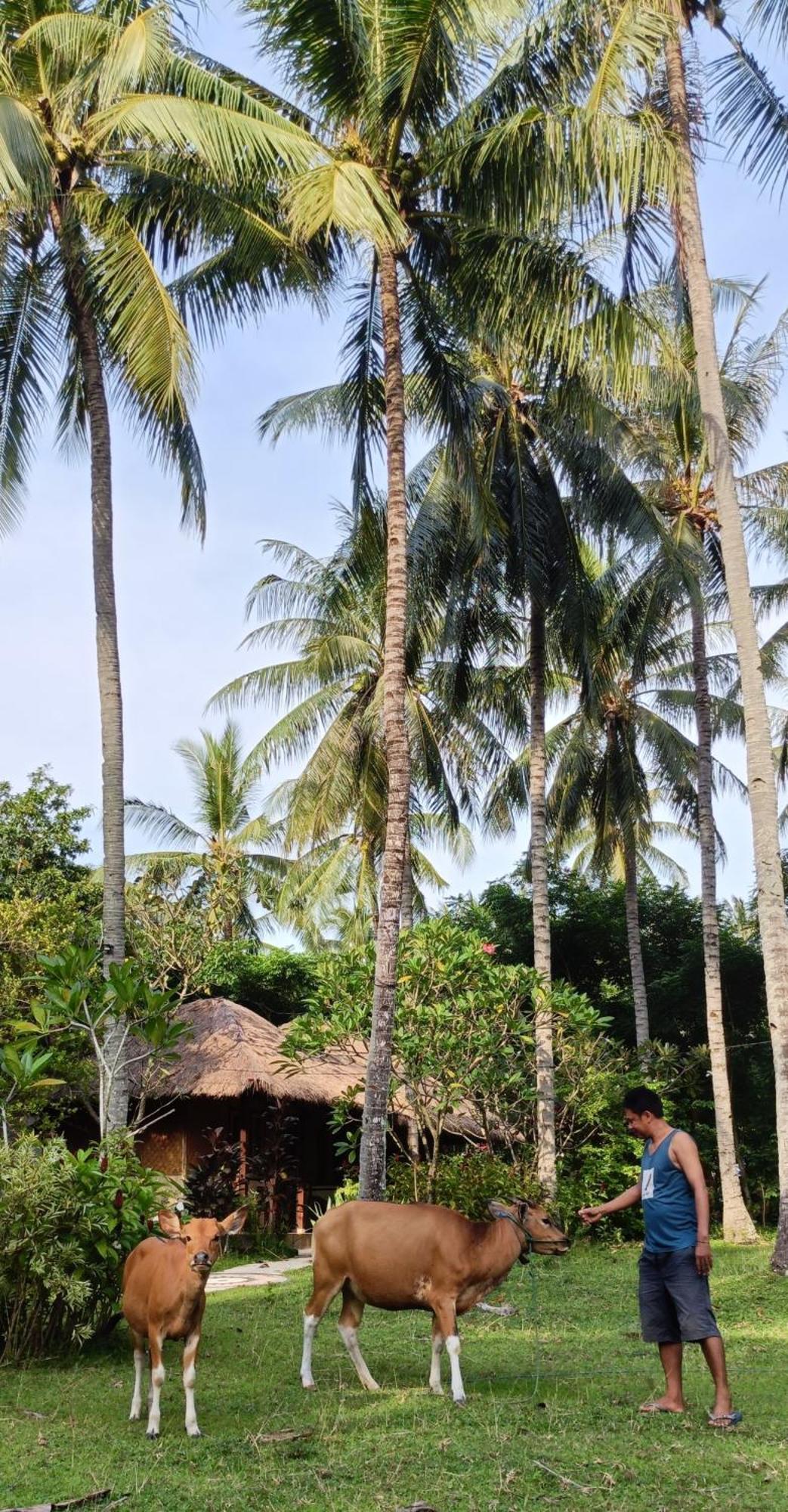 Lendang Eco Lodge 圣吉吉 外观 照片
