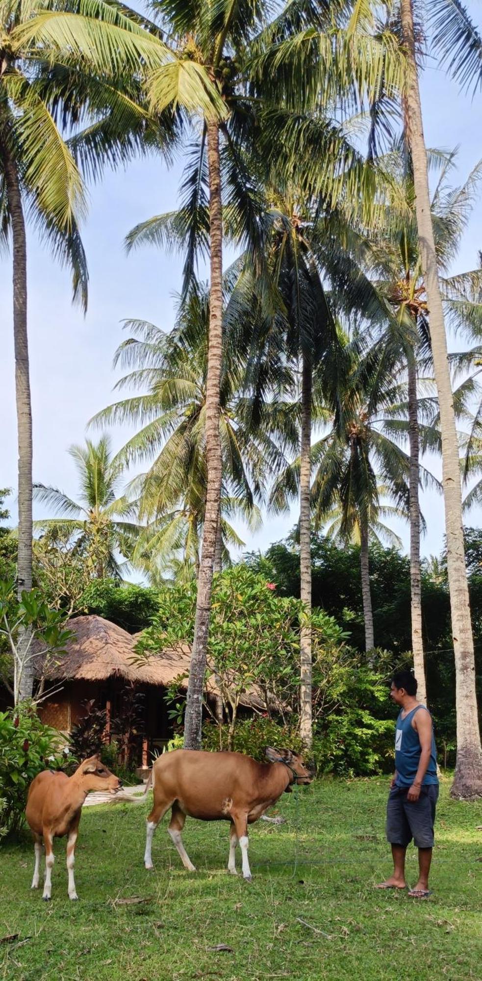 Lendang Eco Lodge 圣吉吉 外观 照片
